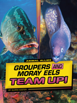 cover image of Groupers and Moray Eels Team Up!